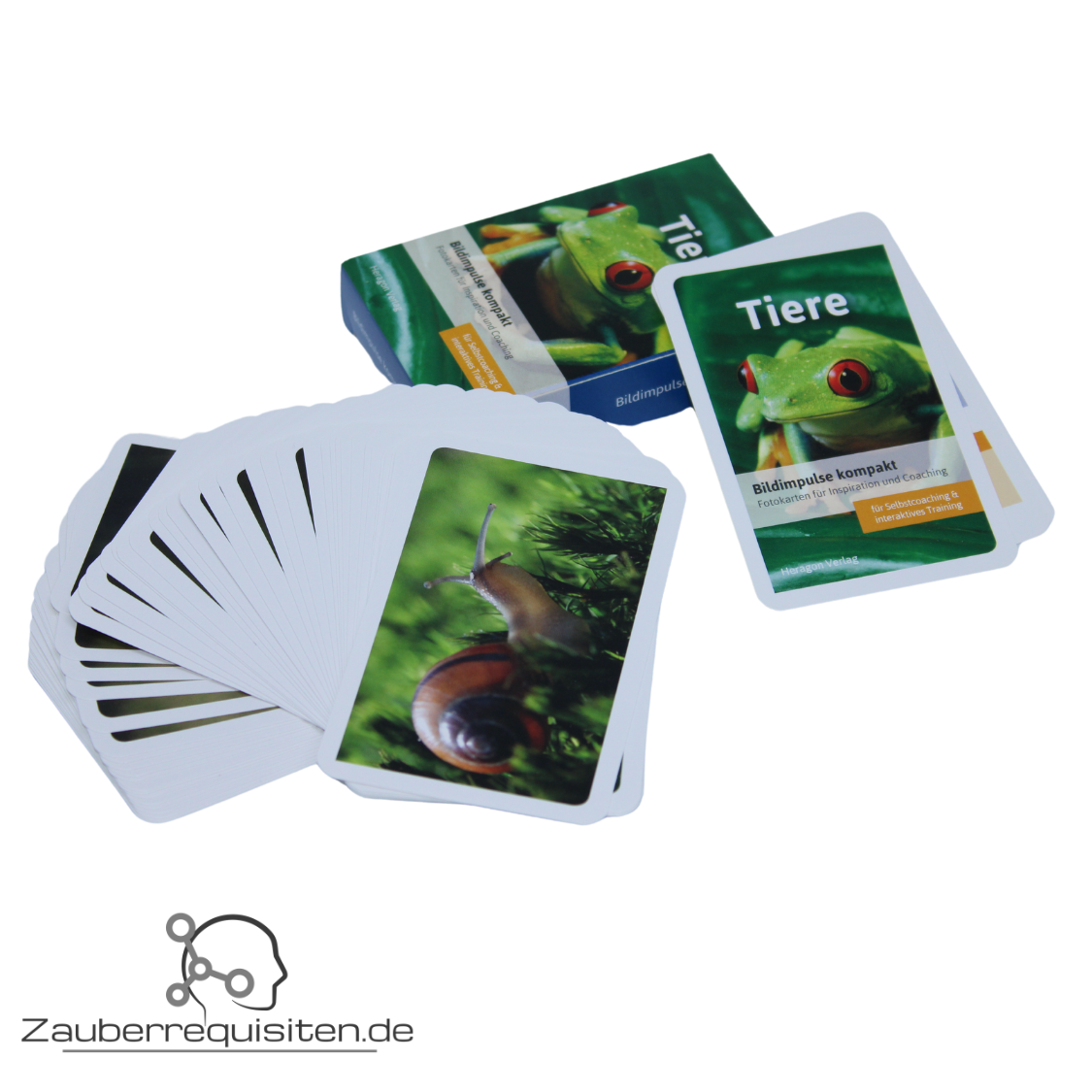 SINGLE: Foto-Forcierkarten "Bildimpulse Tiere", 1 Packung Forcierkarten, Video-Kurzanleitung